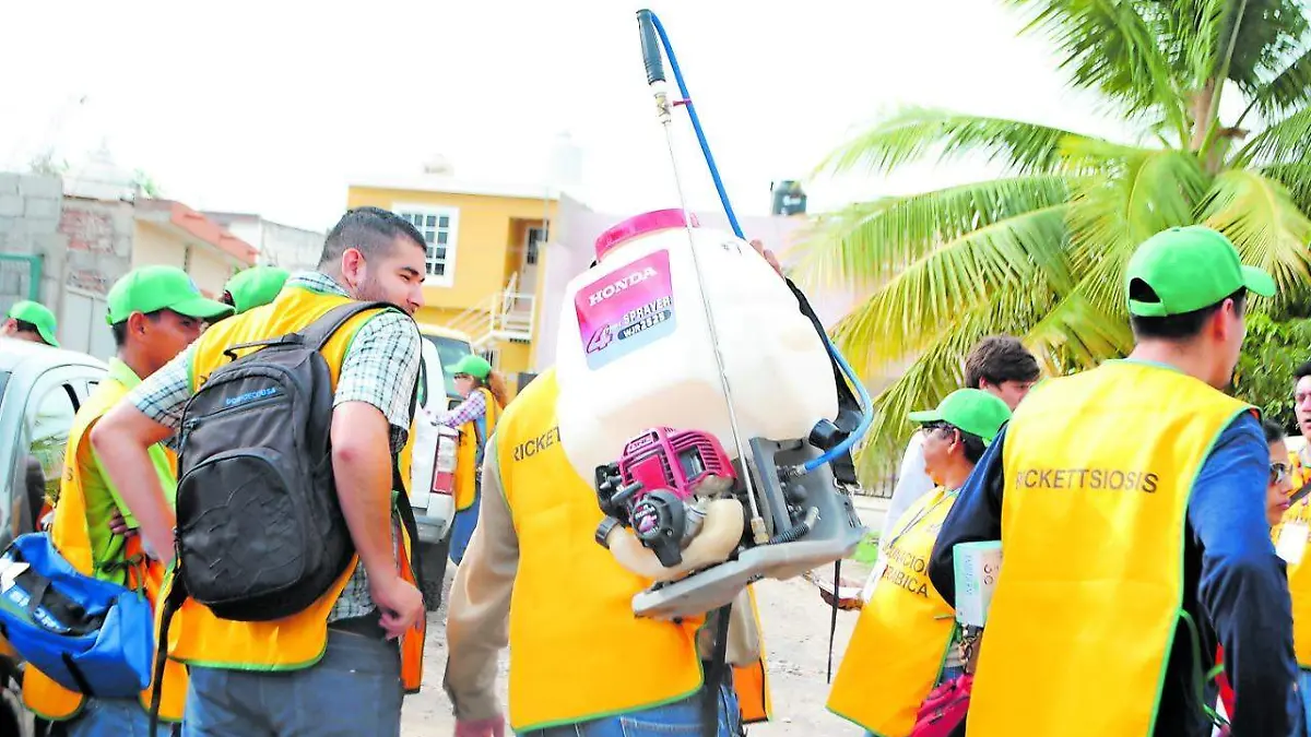 dengue en Sinaloa